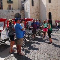 Tours & Sightseeing
