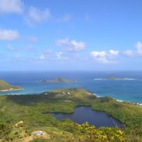 Eco Tours