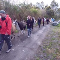 Hiking & Camping