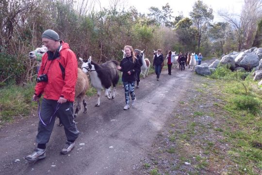 Easter in Kaikoura