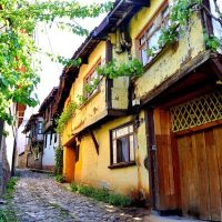 Day Trips & Excursions