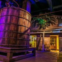 Food, Wine & Nightlife