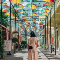 Cultural & Theme Tours