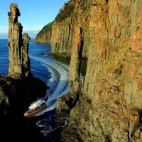 Day Cruises