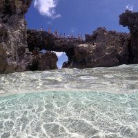Half-day Tours