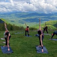 Classes & Workshops