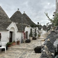 Cultural & Theme Tours