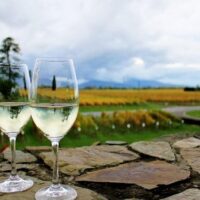 Holiday & Seasonal Tours