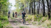 Fantastic way to get to know the area