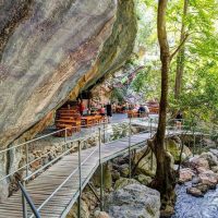 Luxury Tours