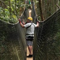 Ziplines
