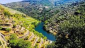 Douro Valley trip by car