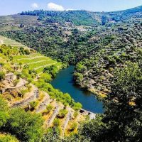 Wine Tasting & Winery Tours
