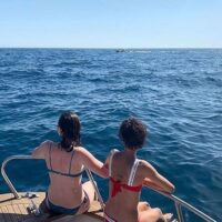 Holiday & Seasonal Tours