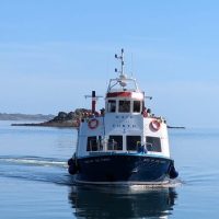 Cruises, Sailing & Water Tours