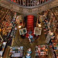 Trolley Tours