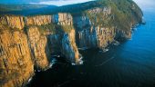 Bruny Island Experience not to be missed.