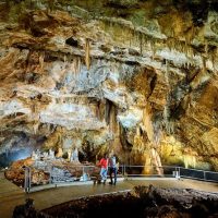 Sightseeing Tickets & Passes