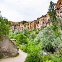 Eco Tours