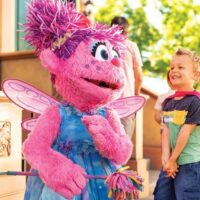 Theme Parks