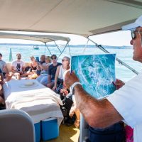 Boat Tours