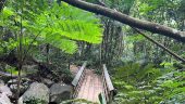 Incredible adventure