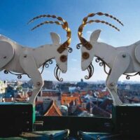 Luxury Tours