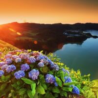 Ports of Call Tours