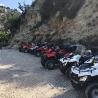 Safaris