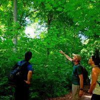 Hiking & Camping