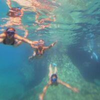 Half-day Tours