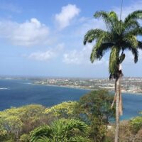 Luxury Tours