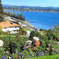Bus & Minivan Tours