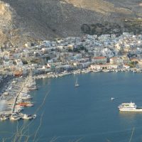Catamaran Cruises