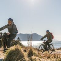 Holiday & Seasonal Tours