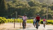 Amazing ride with wineries and views!!