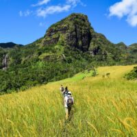 Private & Custom Tours