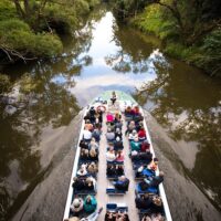 Cruises, Sailing & Water Tours