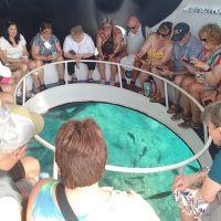 Glass Bottom Boat Tours