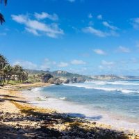 Ports of Call Tours