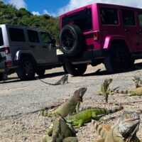 4WD, ATV & Off-Road Tours