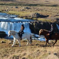 Private & Custom Tours