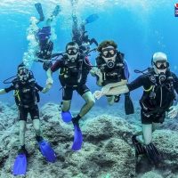 Scuba Diving