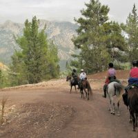 Horseback Riding
