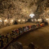 Luxury Tours