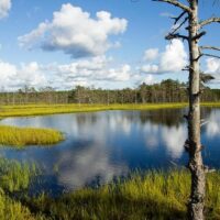 Full-day Tours