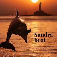 Boat Tours