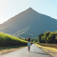 Private & Custom Tours