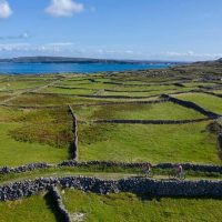 Walking & Biking Tours