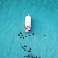 Private & Custom Tours